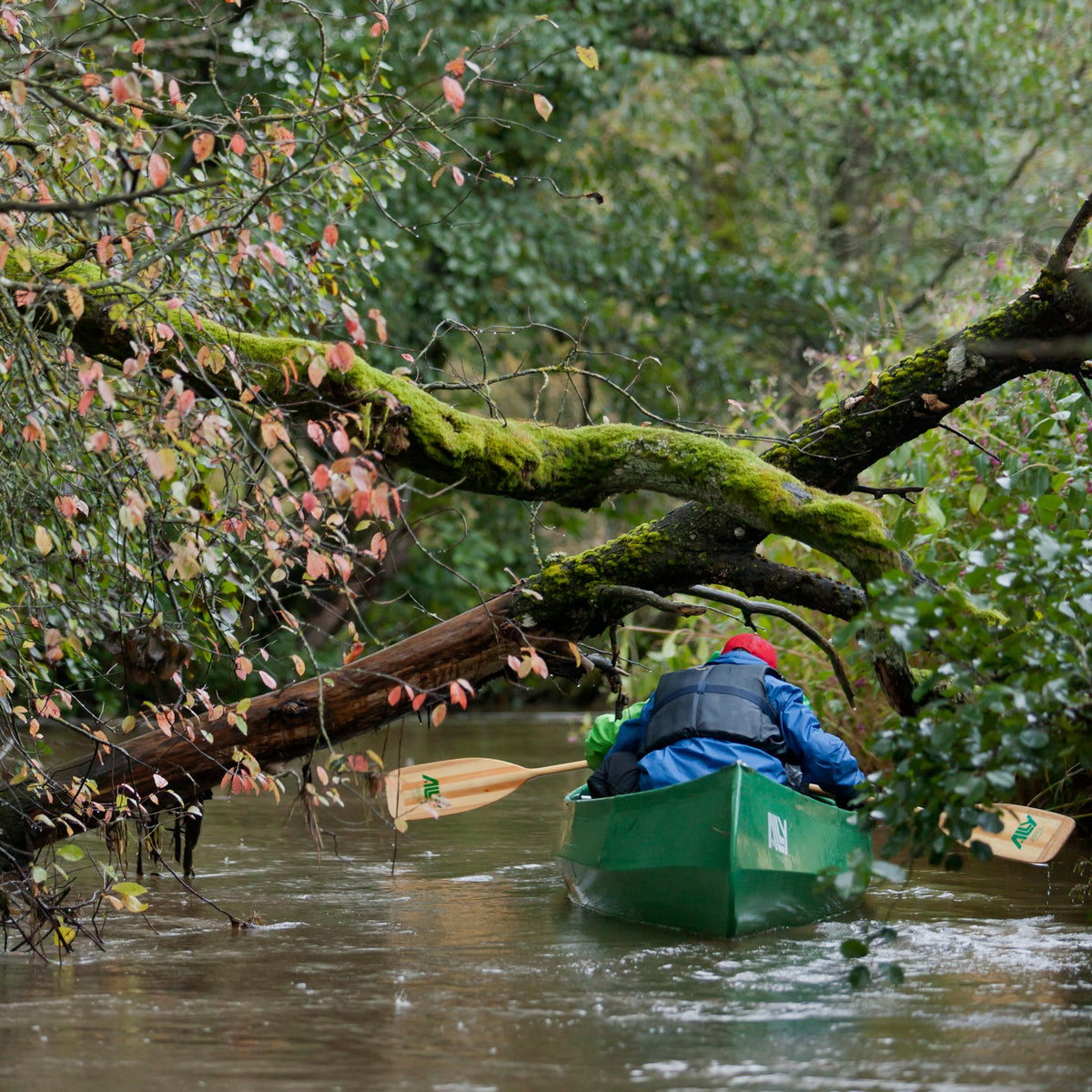 ALLY 18' DR canoe, green