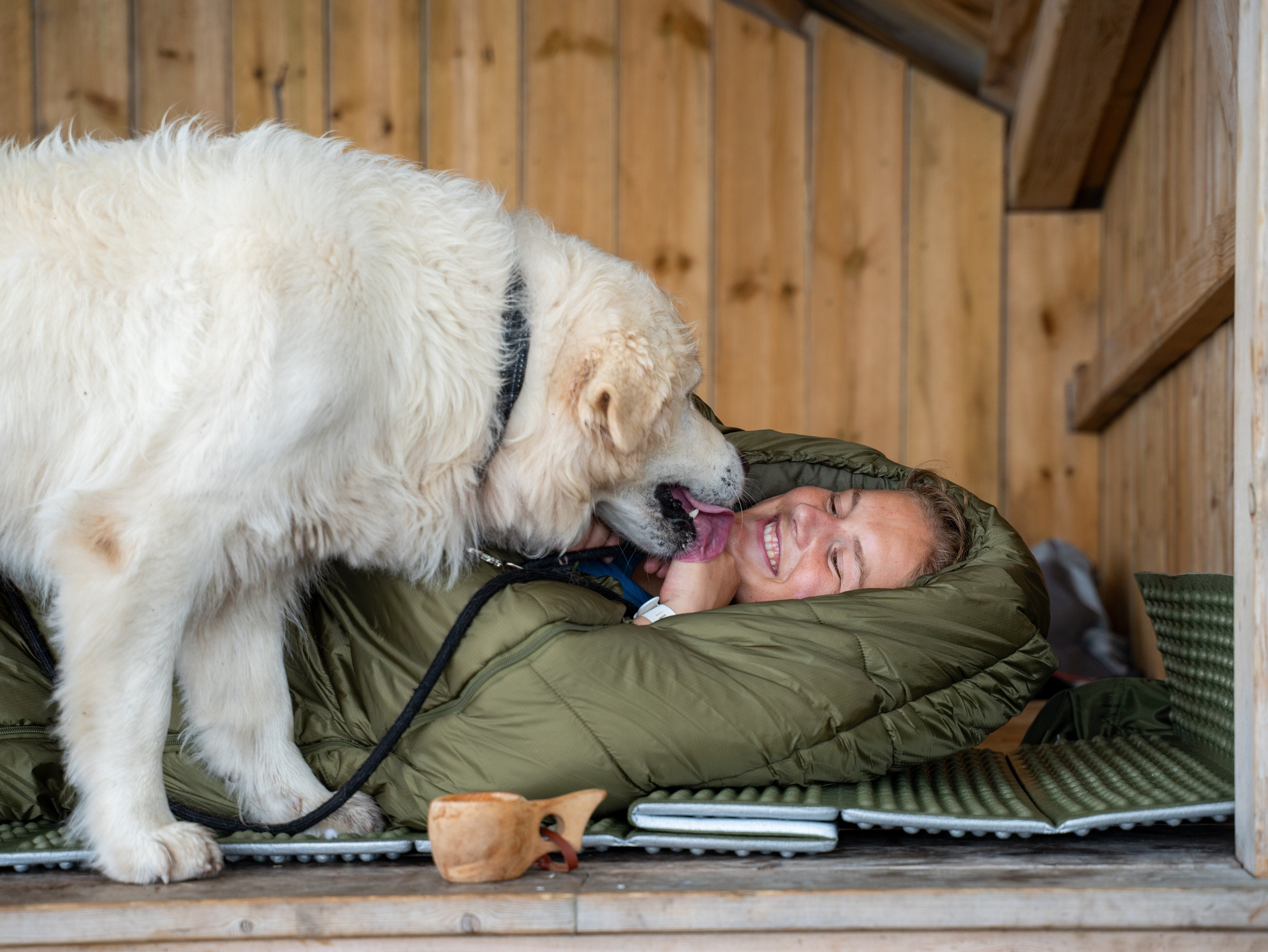 Recon, fiber sovepose