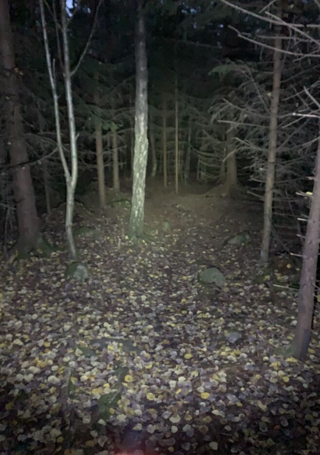 North Trail First Hodelykt